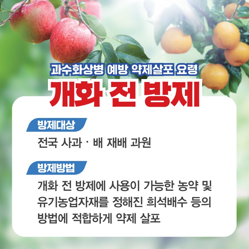 a9f1195513aa75bcb65ab412a0a9bed6_1709862616_69.jpg